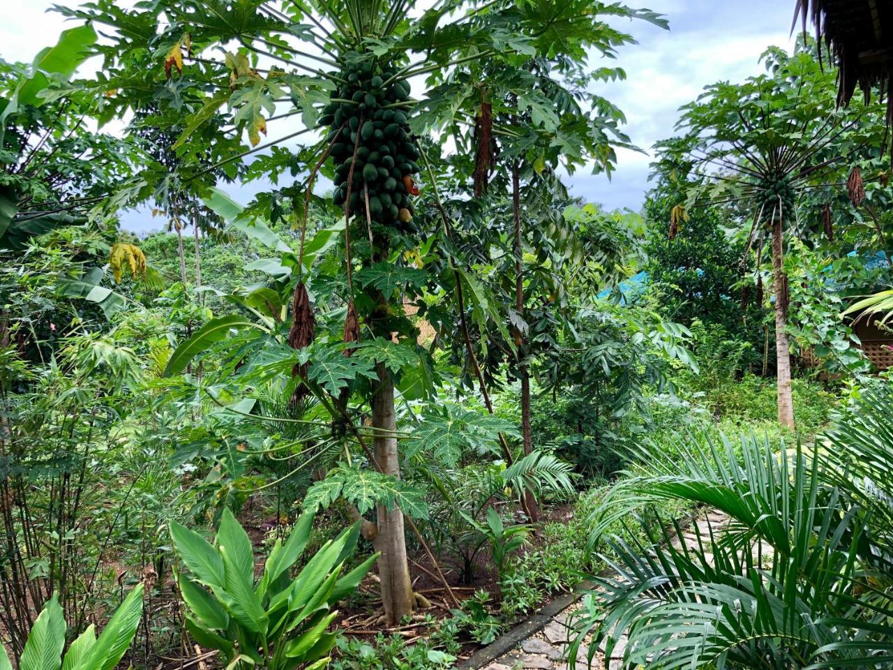 House @Bohol Garden Homes Panglao Bagian luar foto